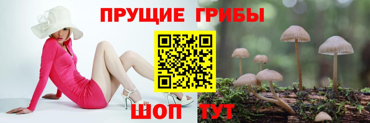 Псилоцибиновые грибы Magic Shrooms  Галлюциногенные грибы Psilocybe  Лабытнанги  Вход с VPN 